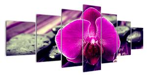 Obraz orchideje (210x100cm)