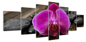 Obraz orchideje (210x100cm)