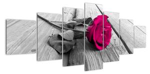 Obrazy květin - růže (210x100cm)
