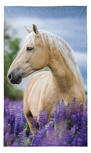 Detexpol Bavlněný ručník 30x50 cm Kůň modrý