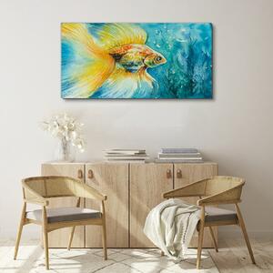 Obraz na plátně Obraz na plátně Aquarelle zlatá rybka voda