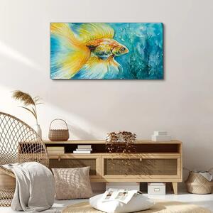 Obraz na plátně Obraz na plátně Aquarelle zlatá rybka voda