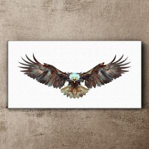 Obraz na plátně Obraz na plátně Zvířecí pták Eagle