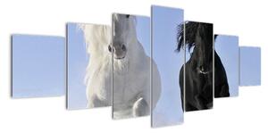 Koně, obraz (210x100cm)