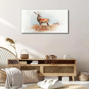 Obraz na plátně Obraz na plátně Akvarel Animal Deer