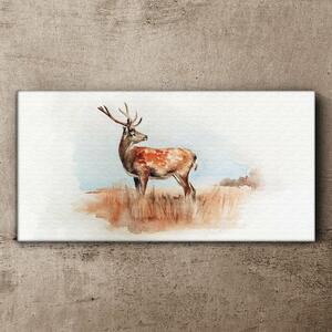 Obraz na plátně Obraz na plátně Akvarel Animal Deer
