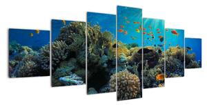 Obraz podmořského světa (210x100cm)