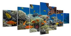 Obraz podmořského světa (210x100cm)