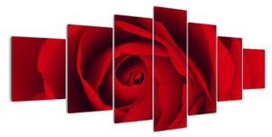 Detail červené růže - obraz (210x100cm)