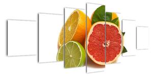 Citrusové plody - obraz (210x100cm)