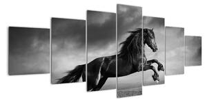 Obraz koně na stěnu (210x100cm)