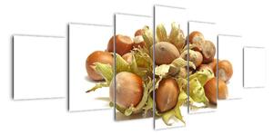 Lískové ořechy - obrazy (210x100cm)