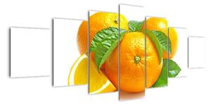 Pomeranče, obraz (210x100cm)