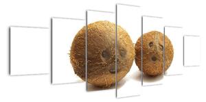 Kokosový ořech, obraz (210x100cm)