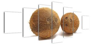 Kokosový ořech, obraz (210x100cm)