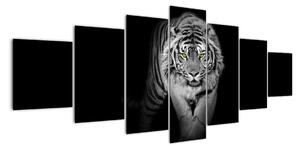 Tygr černobílý, obraz (210x100cm)