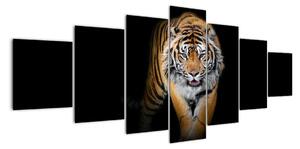 Tygr, obraz (210x100cm)