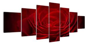 Makro růže - obraz (210x100cm)