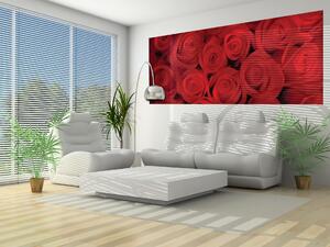 Fototapeta panoramatická vliesová Červené růže