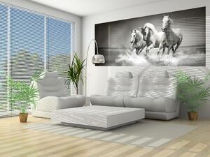 Fototapeta panoramatická vliesová Cválající koně