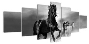 Černobílý obraz koňů (210x100cm)