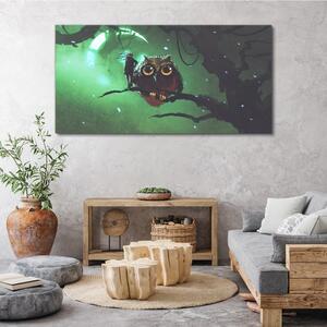 Obraz na plátně Obraz na plátně Umění sova měsíce