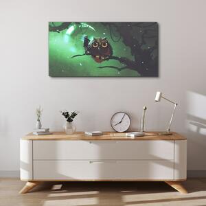Obraz na plátně Obraz na plátně Umění sova měsíce