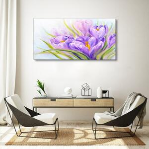 Obraz na plátně Obraz na plátně Květiny rostlin divoké zvěře