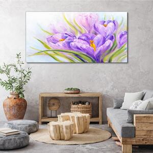 Obraz na plátně Obraz na plátně Květiny rostlin divoké zvěře