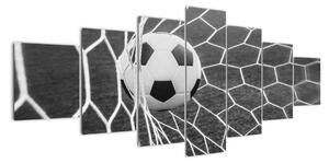 Fotbalový míč v síti - obraz (210x100cm)