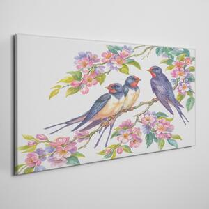 Obraz na plátně Obraz na plátně Zvířata Birds Flowers