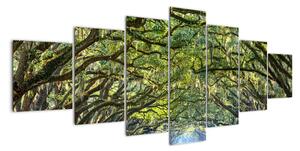 Aleje stromů - obraz (210x100cm)