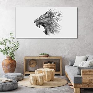 Obraz na plátně Obraz na plátně Kreslení živočišného lva
