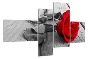 Obraz růže s červeným květem (110x70cm)