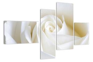 Obraz bílé růže (110x70cm)
