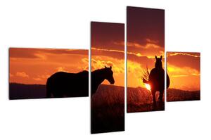 Obraz - koně při západu slunce (110x70cm)
