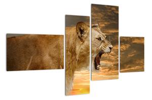Obraz řvoucího lva (110x70cm)