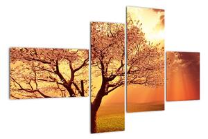 Obraz přírody - strom (110x70cm)