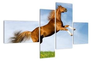 Obraz koně na zadních (110x70cm)