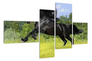 Obraz koně (110x70cm)