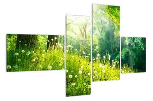 Moderní obrazy přírody (110x70cm)