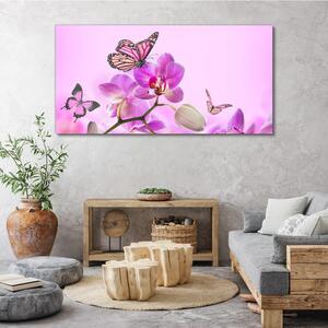Obraz na plátně Obraz na plátně Květiny přírody motýl