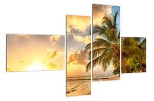 Obraz palmy na písečné pláži (110x70cm)