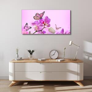 Obraz na plátně Obraz na plátně Květiny přírody motýl