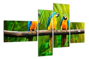 Moderní obraz - papoušci (110x70cm)