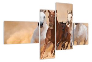 Obrazy běžících koní (110x70cm)