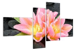 Obraz květů (110x70cm)
