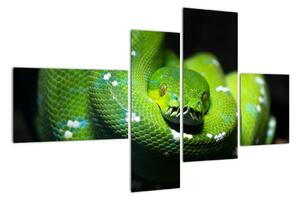 Obraz zvířat - had (110x70cm)