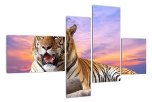 Obraz ležícího tygra (110x70cm)