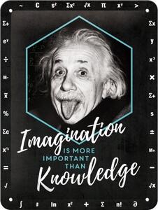 Plechová cedule Einstein Imagination & Knowledge, (15 x 20 cm)